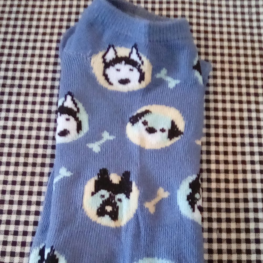 Fun Doggie Socks